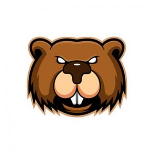 BOBR