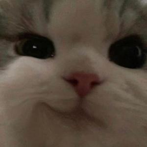 kolzzy