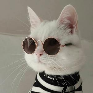 Легитный софт от Frosta